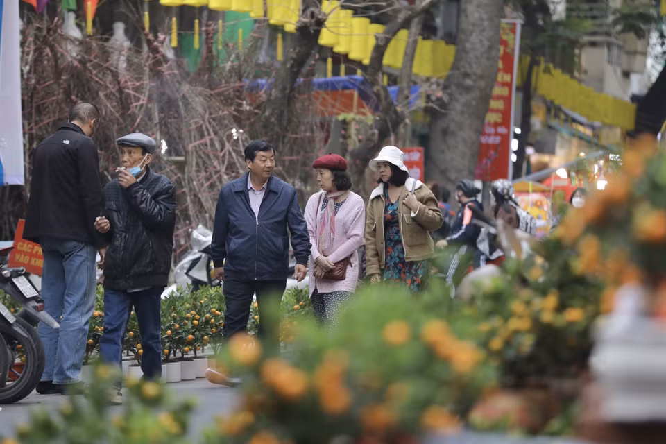  Cette année, le marché aux fleurs s’étend dans les rues de Hang Luoc, Hang Khoai, Hang Ruoi, Hang Ma et l’espace mural de la rue Phung Hung. Il constitue l’un des centres de commercialisation de plantes d’ornement les plus effervescents de Hanoï lors du Nouvel An lunaire. Photo: VNA 