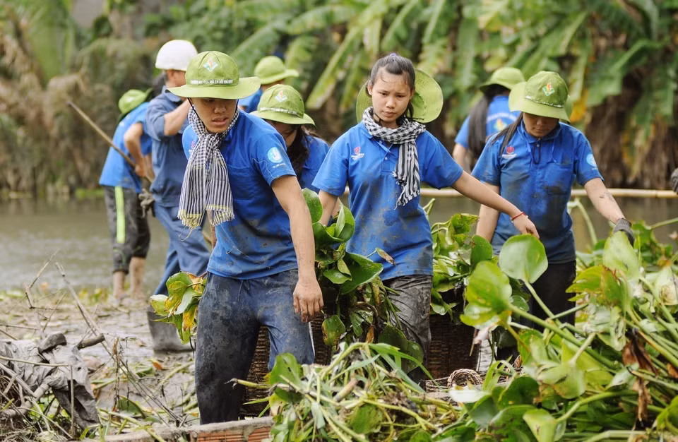  Des jeunes et étudiants volontaires ramassent des jacinthes d’eau afin d’évacuer le débit du canal Ong Tong dans l'arrondissement de Go Vap à Ho Chi Minh-Ville. Photo: VNA 