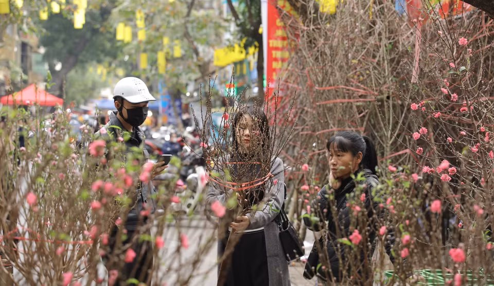  Ce marché est une tradition typique de la capitale. Pour de nombreux Hanoïens, sa visite n’est pas uniquement synonyme d’emplettes, c’est également l’occasion pour se replonger dans l’atmosphère des Têt d’antan. Photo: VNA 
