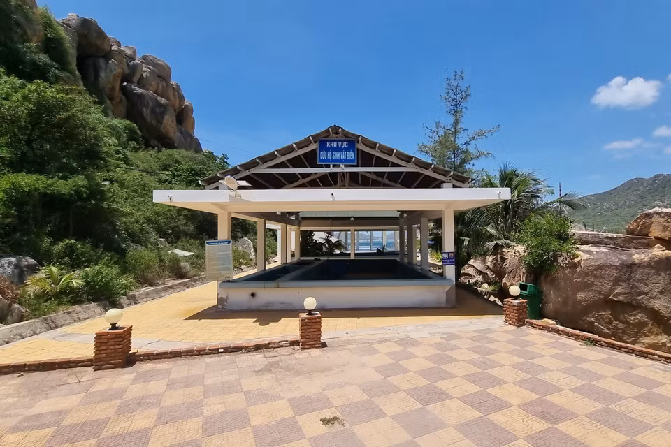  Zone de sauvetage des êtres marins dans le Parc national de Nui Chua, province de Ninh Thuan, au Centre. Photo : VNA 