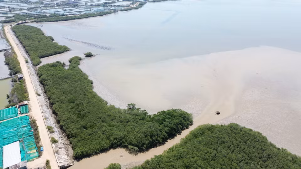  La lagune de Nai, située dans le district de Ninh Hai, dans la province de Ninh Thuan, a connu une renaissance grâce à des mangroves verdoyantes. Cette initiative a renforcé la résilience de la région face aux changements climatiques et permet de préserver la biodiversité. Photo : VNA 