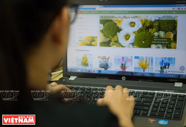 E-commerce est très utile pour les investisseurs dans le maraîchage et la floriculture pour promouvoir et vendre leurs produits.
