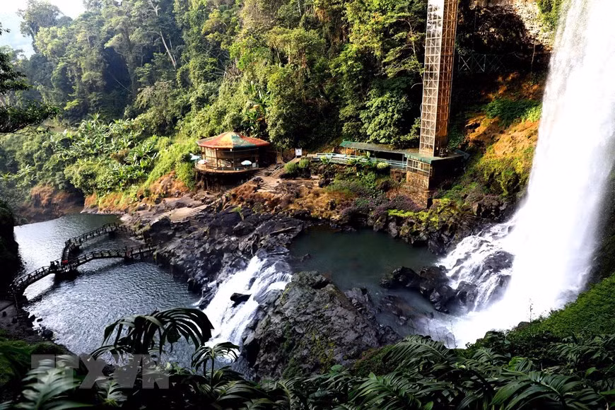La cascade de Dambri est entourée par de nombreuses variétés d'arbres rares. Photo : VNA