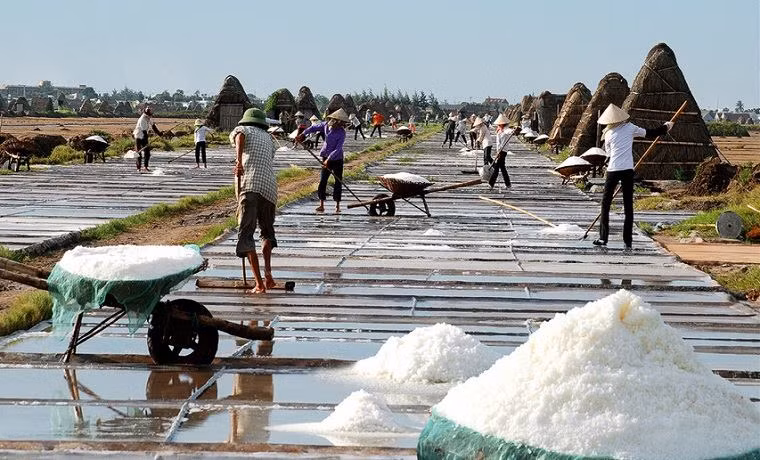 Des agriculteurs travaillent au marais salant de Bach Long, district de Giao Thuy, province de Nam Dinh (Nord). Le sel se produit dans toutes les régions côtières du Vietnam, du Nord au Sud. Mais, la salinité étant différente dans chaque région, les techniques de production des salaniers le sont également. Dans les provinces du Centre et celles du Sud du pays, comme l’eau de mer est plus salée, on pratique la méthode « sécher l’eau ». C’est à dire après avoir capturé de l’eau de mer dans les marais salants, on attend jusqu’à ce que l’eau s’évapore et que le sel se cristallise. Photo : VietnamPlus 