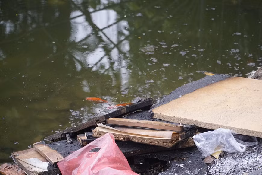 Les poissons rouges et les sacs en plastiques sont coincés dans la boue sale, causant la pollution des rivières et des lacs. Les autorités municipales ont demandé aux agences et aux unités doivent être plus drastiques pour limiter et réduire l'utilisation de produits en plastique à usage unique lors des réunions, conférences, séminaires et d'autres activités. Il faut encourager les habitants à abandonner l'utilisation des emballages plastiques pour passer aux produits respectueux de l'environnement. En même temps, la ville doit promouvoir des mesures, des plans, des programmes de recyclage, le tri des déchets à la source, la collecte des déchets plastiques dans la communauté. Photo : VietnamPlus