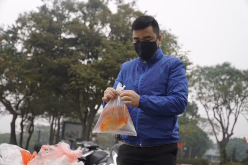 De nombreuses personnes utilisent encore des sacs en plastique pour relâcher les poissons, puis les jettent au bord des rivières et des lacs, polluant les sources d'eau et les zones environnantes insalubres. D'après les récentes statistiques du ministère vietnamien des Ressources naturelles et de l'Environnement (MRNE), la quantité de déchets plastiques au Vietnam, estimée à 2.500 tonnes par jour, représente 7% des ordures solides. Hanoï et Hô Chi Minh-Ville rejettent chaque jour, à elles seules, environ 80 tonnes. Chose inquiétante, seule une infime quantité de ces plastiques est ramassée au service du recyclage. "Si 10% du volume n'est pas recyclé, la quantité rejetée dans le pays atteindra 2,5 millions de tonnes par an". Photo : VietnamPlus