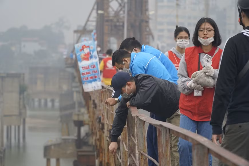 Après le culte, les vêtements en papier sont brûlés et les carpes sont libérées dans des étangs ou des rivières. Les Vietnamiens ont choisi la carpe car elle est, pour eux, le symbole de la richesse et de la prospérité. Selon la légende, les carpes se transforment en dragon lors du passage entre la Terre et le Ciel. Le dragon est celui qui fait appel à la pluie pour apporter une récolte abondante aux agriculteurs. Un grand nombre de Hanoiens est venu relâcher les carpes dans les étangs, les lacs et le fleuve Rouge. Au pont de Long Biên, de jeunes volontaires aident les habitants à libérer les carpes en toute sécurité. Photo: VietnamPlus 