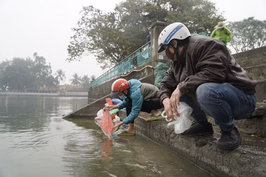 Un grand nombre d'habitants relâchent des carpes au lac de l'Ouest à Hanoi. Ces dernières années, les villageois de Thuy Trâm vivent de l'élevage de carpes. À l'approche de la fête du Génie, le village de Thuy Trâm s'anime plus que jamais. Des carpes rouges sont au service de l'offrande de la fête du Génie. Des carpes rouges sont vendus partout. Le carassin doré, monture du Génie du Foyer est indispensable à chaque foyer à l'occasion du Têt Tao Quân ou la fête cultuelle du Génie du foyer. Plus le Têt Tao Quân approche, des centaines de foyers d'agriculteurs du village de Thuy Tram sont plus occupés pour la pêche des carassins dorés. Photo : VietnamPlus