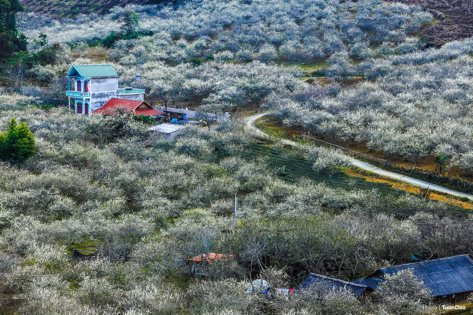 Situé sur le nord- ouest, il est célèbre pour ses paysages magnifiques, ses beaux villages au bord de la route, ses saisons de tournesols sauvages, de fleurs d’abricot, de pêchers, de pruniers... 