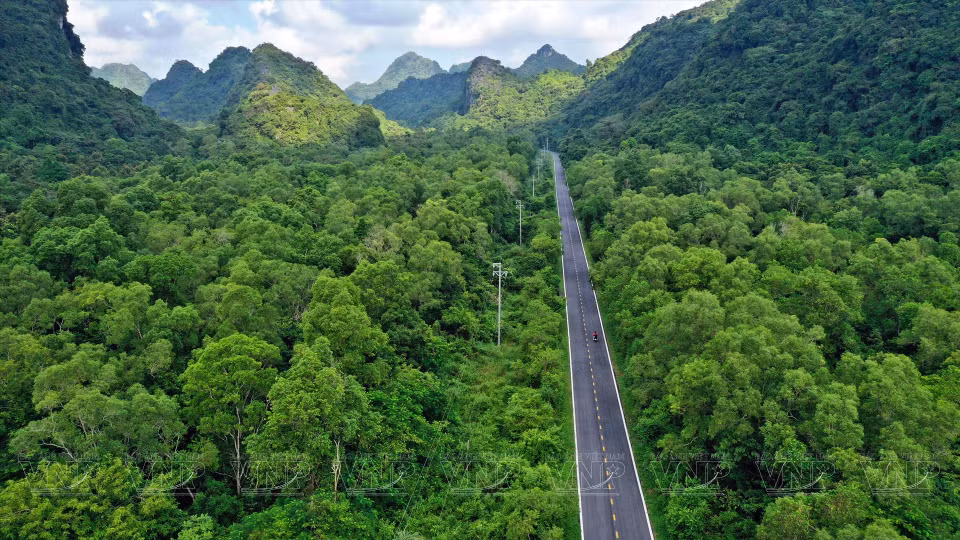 Belle route menant au parc national de Cat Ba. Photo: VNA