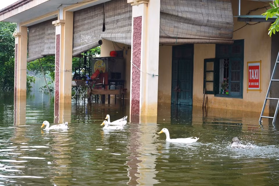 Le district de Chuong My a été gravement inondé