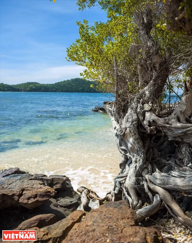La beauté immaculée de l'île de Hon Thom. 