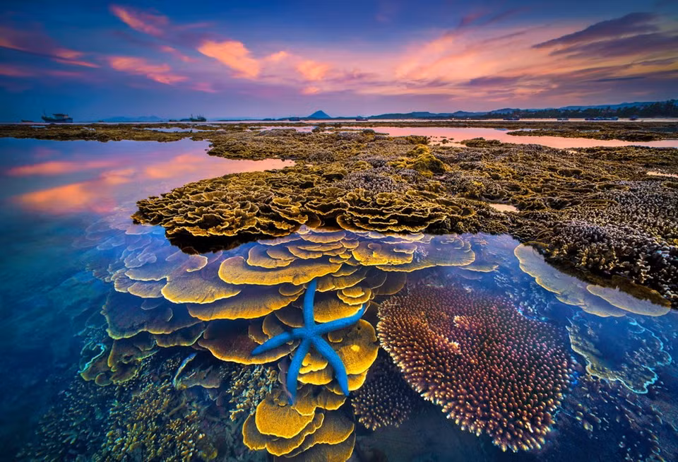 Le cliché « Couleurs de la mer » du photographe Tran Bao Hoa gagne le 1er prix.