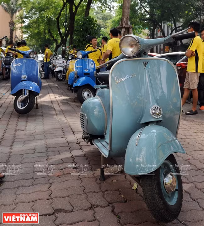 Le Vespa le plus ancien du groupe est un Standard, fabriqué en 1965.