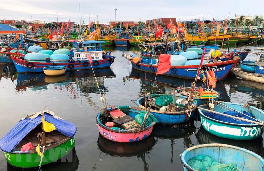 Des bateaux sont ancrés au port de pêche de Quy Nhon dans la province de Binh Dinh pour éviter le typhon Molave.