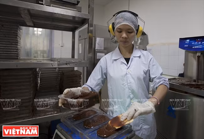 Le chocolat Marou est versé dans des moules de manière artisanale.