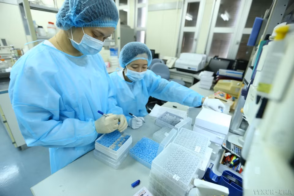 Un groupe de femmes scientifiques du Département de virologie de l'Institut national d'hygiène et d'épidémiologie a réussi à isoler la nouvelle souche de coronavirus (SARS-CoV-2), faisant du Vietnam l'un des quatre premiers pays à avoir réussi à isoler ce virus. Photo: VNA