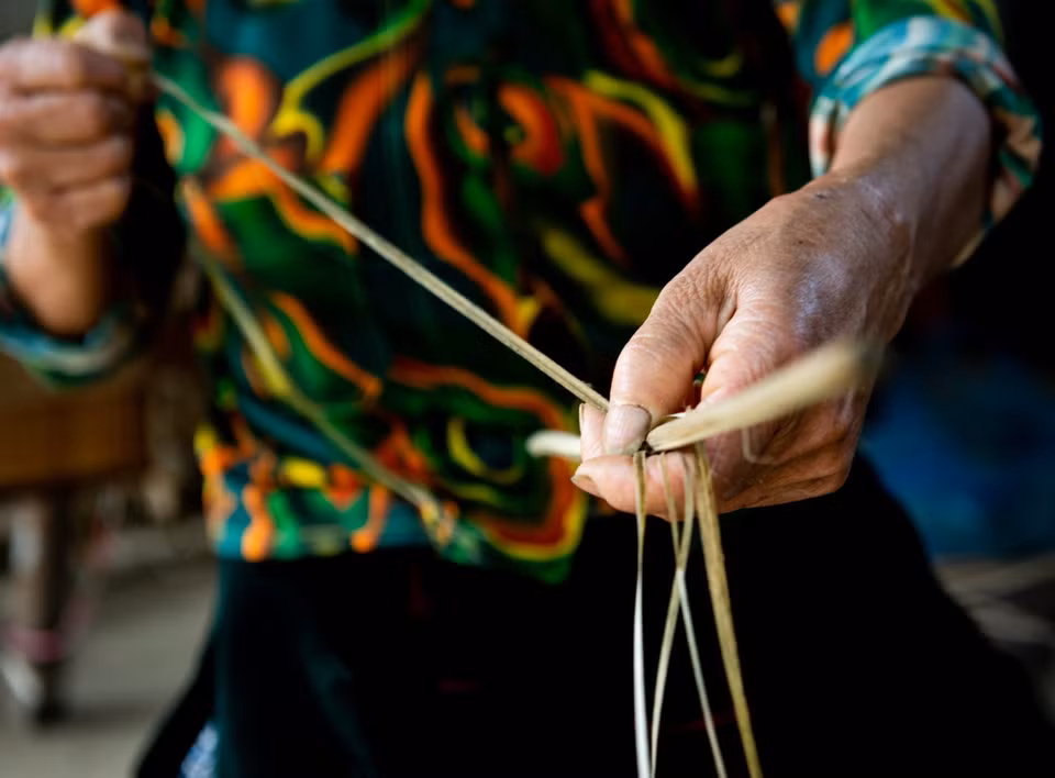 Les fibres sont divisées en minces fils et les femmes H’mông les exposent à la chaleur pour les assouplir. 