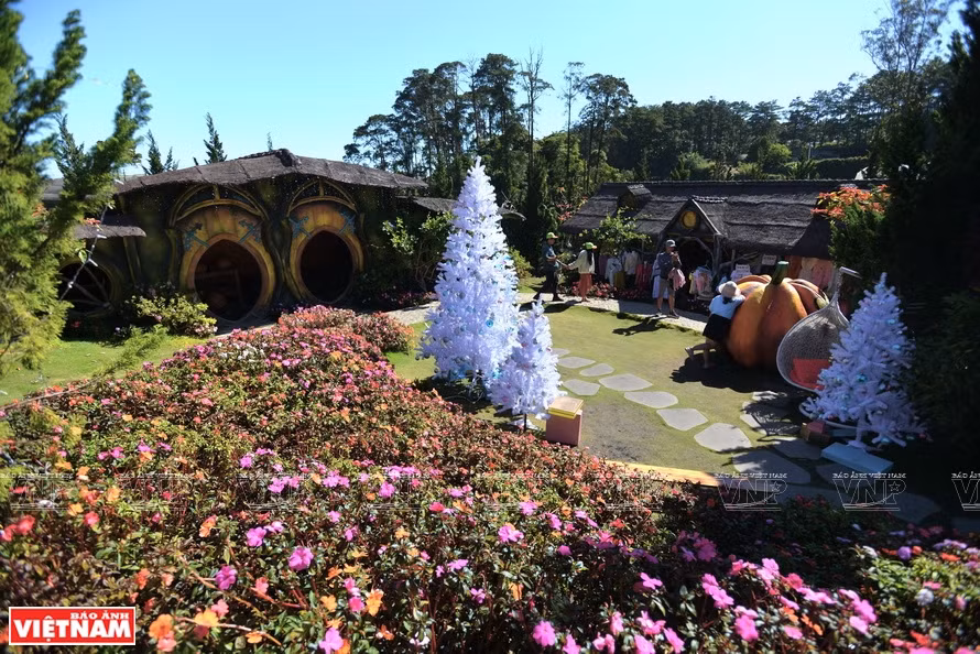 Da Lat compte de nombreux fermes et villages floricoles, toujours ouverts aux touristes. Photo: Thanh Hoa