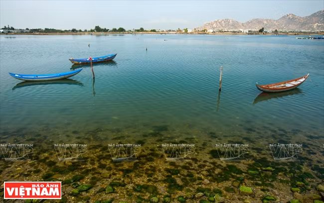 Le marais de Dam Nai, district de Ninh Hai, province de Ninh Thuân. Photo: Vietnam Illustré