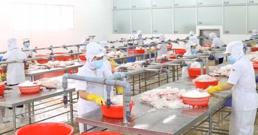 Les entreprises de Ho Chi Minh-Ville redoublent d'efforts pour maintenir la production. Photo : VNA 
