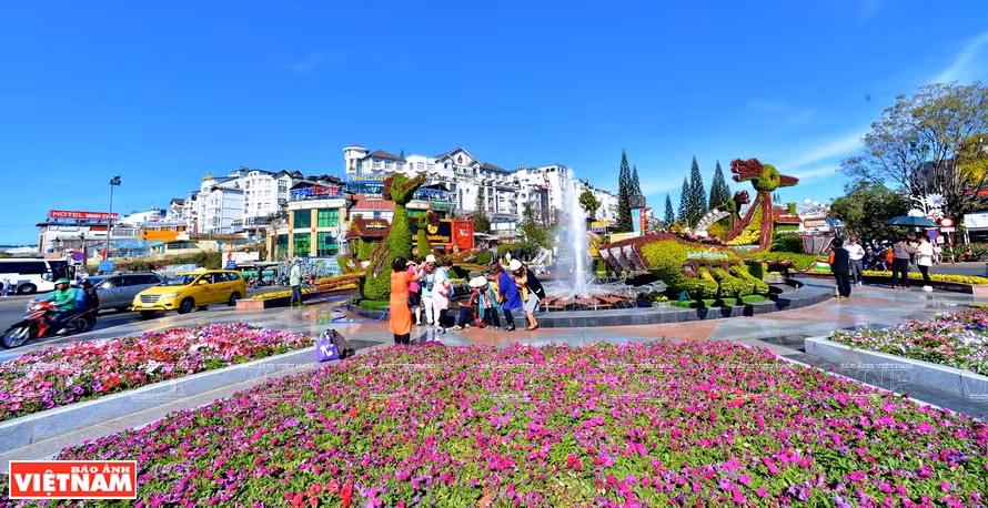 Da Lat est surnommé le " petit Paris" grâce à son climat frais et à ses fleurs épanouies toute l'année. Photo: Thanh Hoa