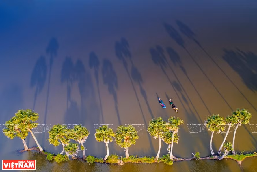 Après-midi ensoleillé. Photo: Vietnam Illustré 