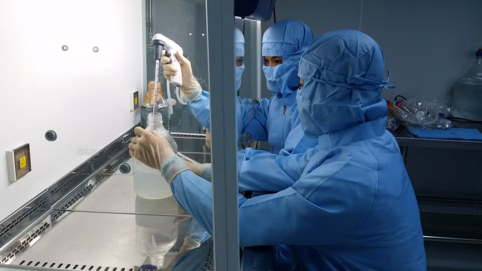 Recherche sur la production de vaccins sur embryon d'œuf de poule dans une usine de vaccins, située dans le district de Cam Lam, province de Khanh Hoa.
