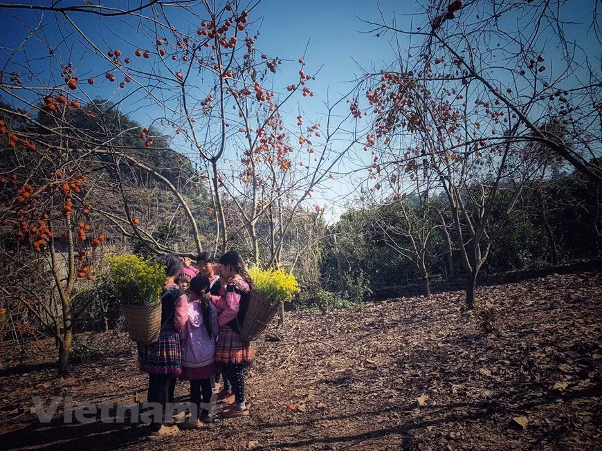Les enfants en costumes traditionnels contribuent largement à préserver l’identité culturelle du Nord-Ouest aux yeux des visiteurs. Photo: Xuan Mai/Vietnam+