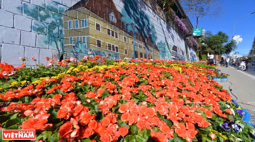 Des fleurs dans une rue de Da Lat: Photo: Vietnam Illustré