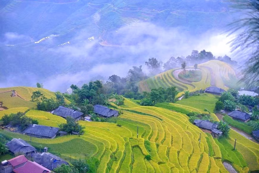 Quiconque a déjà visité le district de Hoang Su Phi, dans la province de Ha Giang, compare également sa beauté à un paradis sauvage. En particulier pour ceux qui pratiquent la photographie, cette terre est très attrayante. Photo: VNA