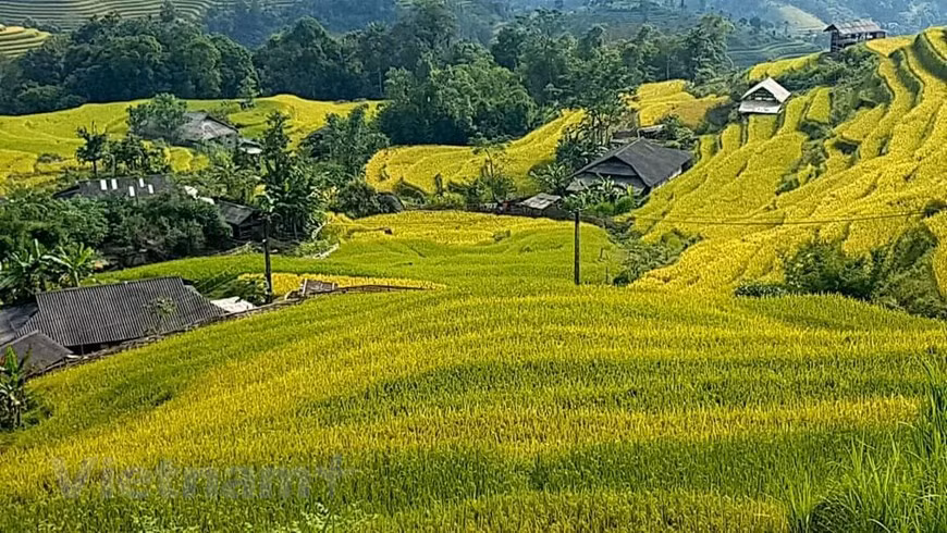 Hoang Su Phi est similaire à Y Ty, Sa Pa et Mu Cang Chai, mais avec encore moins de touristes. Photo: VNA 
