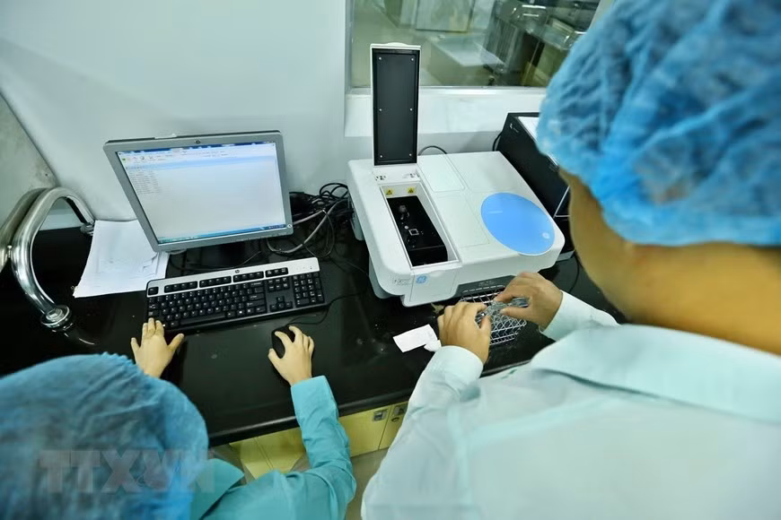 Le vaccin potentiel, actuellement mis au point par la Vabiotech. Photo: VNA 