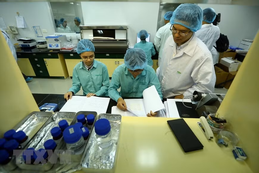 Le vaccin potentiel, actuellement mis au point a produit une forte immunogénicité. Photo: VNA