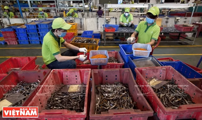 Avec environ 2.000 travailleurs, la Corporation produit des millions de pinces par jour.