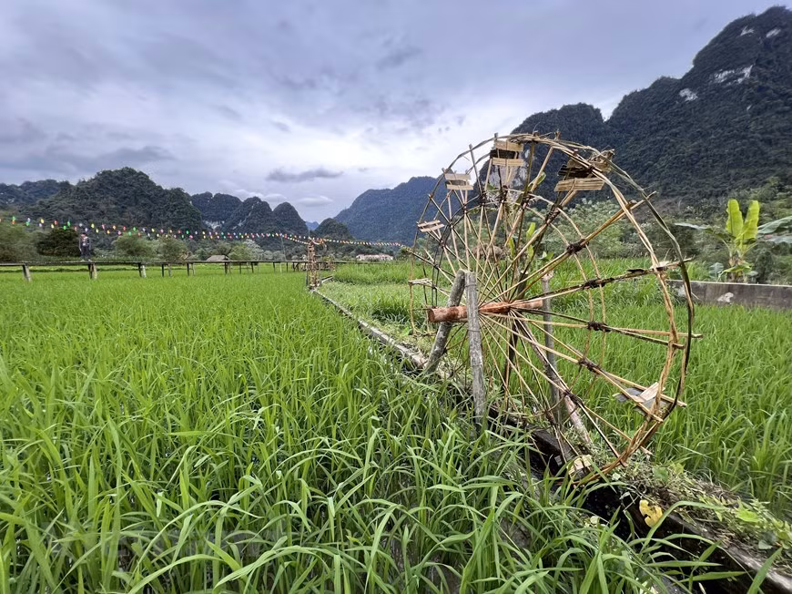 La province s'est concentrée sur le développement de produits artisanaux et agricoles de haute qualité, provenant des villages de métier traditionnels. Elle a aménagé quatre zones de tourisme communautaire dans les hameaux de Na Tong, Na Dong, Na Muong et Nam Dip, district de Lam Binh qui attirent de nombreux visiteurs. La sensibilisation auprès des autorités publiques, des entreprises et de la population en général sur le rôle du tourisme dans le développement local s’améliore progressivement. En 2022, la province de Tuyen Quang se concentre sur la modernisation des infrastructures de transport, les considérant comme un levier pour le développement socioéconomique local, et notamment pour le développement de son secteur touristique. Photo: Vietnamplus