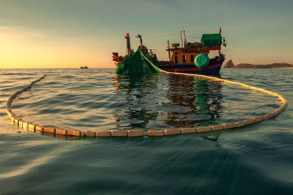 Les pêcheurs jettent leurs filets tôt le matin. Photo: VNA