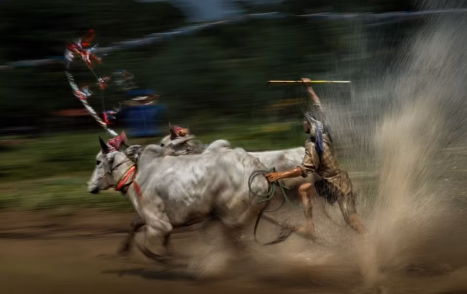 Le Prix photographique Heritage 2018 a vu la participation de nombreux photographes vietnamiens et étrangers. L’œuvre "Về đích" de Nguyen Ngoc Hoa exprime un moment impressionnant lors du festival de course de bœufs des Khmers. 