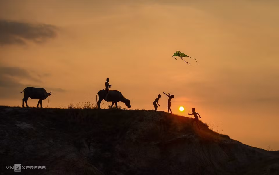 Des éleveurs de buffles font voler un cerf-volant au crépuscule. Photo: vnexpress