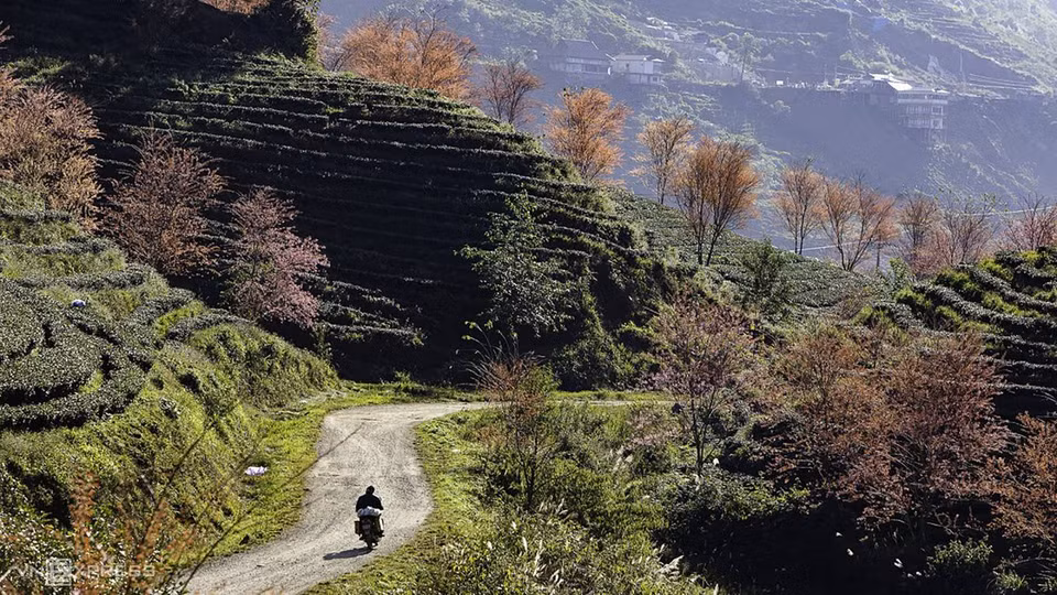 Pour s’y rendre, de Sapa, les touristes prennent la route 4D (vers Thac Bac, le col d'Ô Quy Hô). Après environ 7 km jusqu'à l'école maternelle d'Ô Quy Hô, il faut demander des indications, puis continuez sur 500 m de long d’une petite route. 