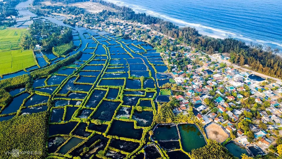 Le village de Co Luy est adjacent à cette forêt de cocotiers. Cette terre paisible est célèbre pour ses magnifiques paysages naturels pendant les quatre saisons.