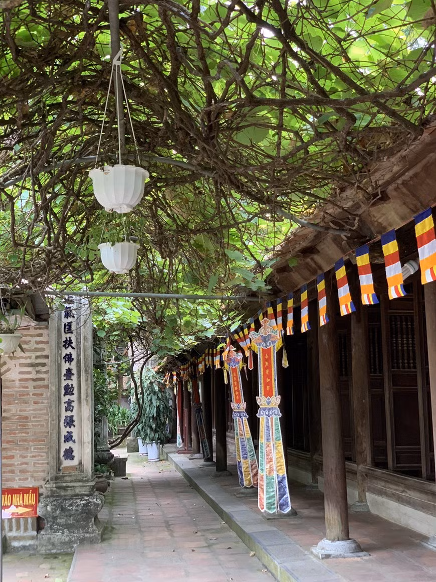 En 1964, la pagode Vinh Nghiem a été classée site national et est devenue site national spécial en 2015. Sa fête a été inscrite au patrimoine culturel immatériel national en 2013.