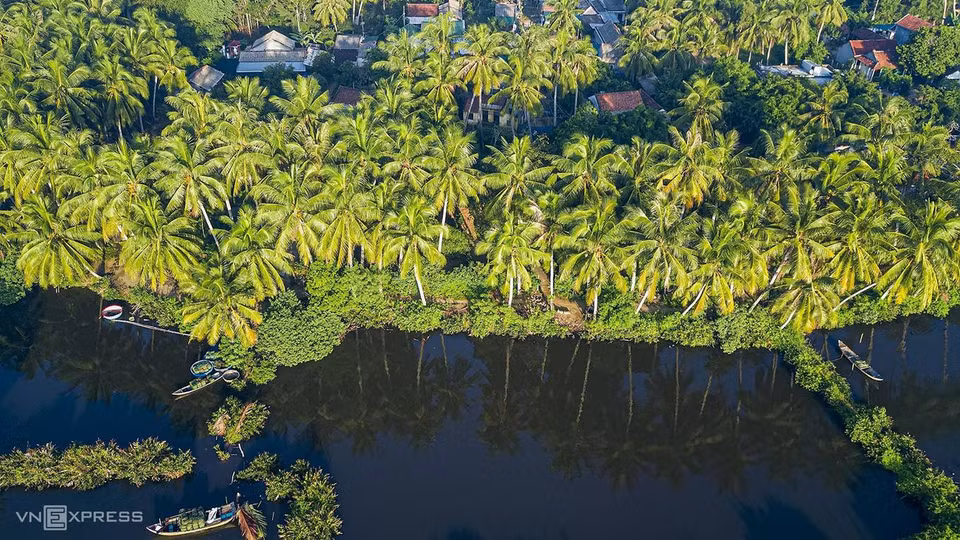 Maisons nichées sous des auvents de cocotiers. Les gens ont également des revenus supplémentaires provenant de la pratique consistant à couper les feuilles de cocotiers et à les tisser pour en faire des feuilles de toits.