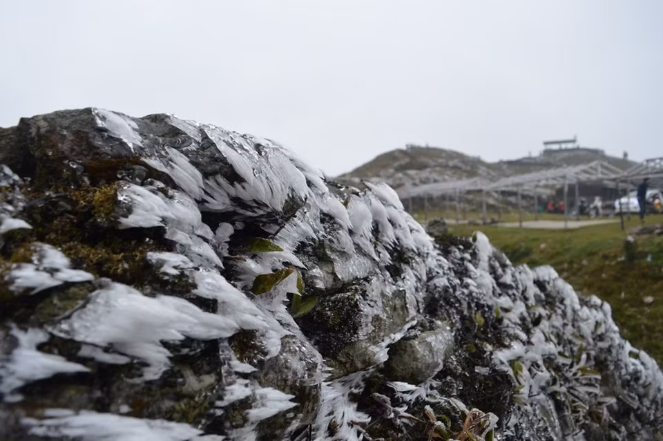  À 7h le 30 janvier, la température ici est descendu à -1,6°C. 
