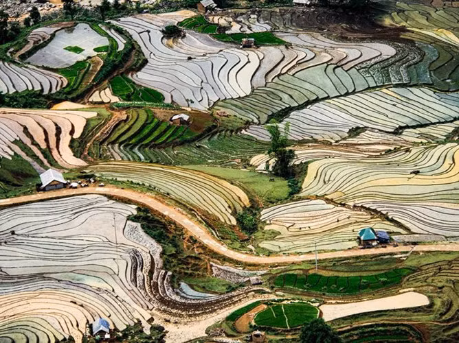 Les rizières à Y Ty, district de Bat Xat, province montagneuse de Lao Cai (Nord). Photo: Phero Art.
