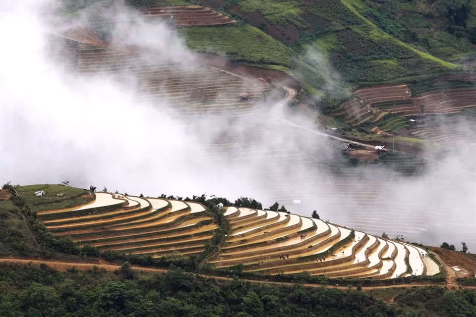 Ce col est entouré de montagnes qui s'étendent à l'infini, de forêts vierges et de rizières en terrasses cultivées par les groupes minoritaires H'Mong et Thaï. Photo: VNP 