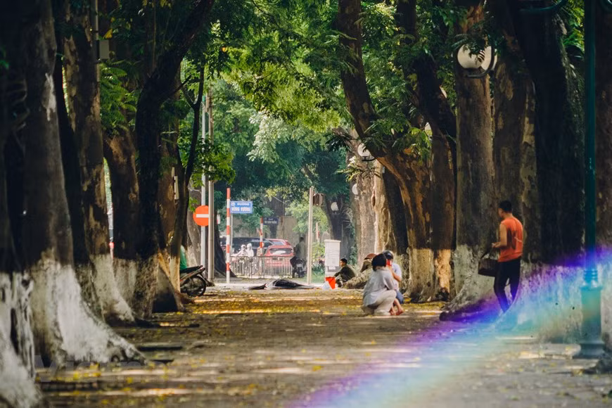 À Hanoï, l'automne est peut-être la période que la plupart des gens attendent avec impatience en raison de son temps frais mais ensoleillé. En automne, toutes les rues de Hanoï sont "inondées" de feuilles dorées qui tombent.