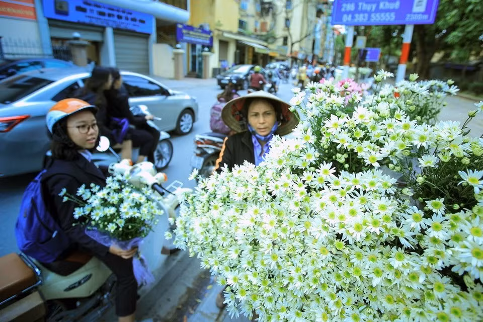 Les Hanoïens gardent cette habitude d’acheter un bouquet de chrysanthèmes pour décorer leur maison ou leur lieu de travail.
