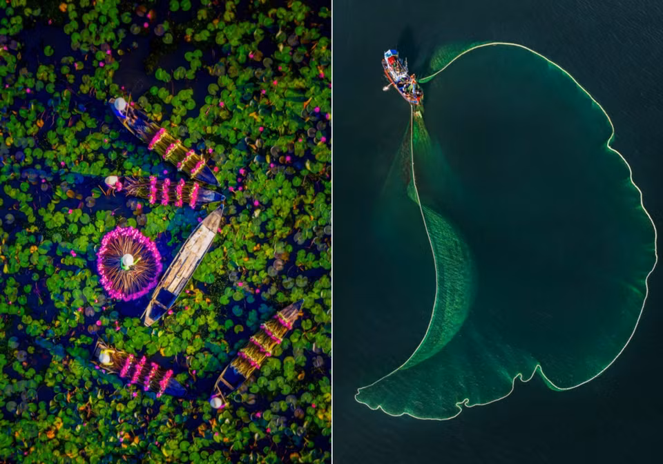 A ce concours photo Drone Photo Awards 2020, de nombreuses œuvres ont subjugué le public et le jury. Des auteurs du Vietnam ont présenté de nombreuses belles images dans plusieurs catégories, par exemple "Récolte des fleurs de nénuphars" (à gauche) de Tuan Nguyen Tan et "La forme du filet de pêche" de Khanh Phan.