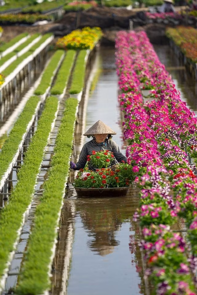 "Prendre soin de fleurs" de @anhtrungqng